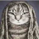 c_dreadhead