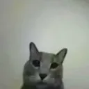 c_stare