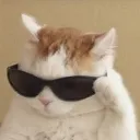 Cool Cat coolcat Discord Emoji