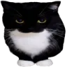 unifuckyou