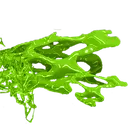 ReptilePuke2