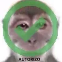 autorizo