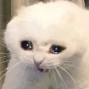 SadCat Discord Emoji