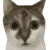 HUH