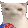 veryCat