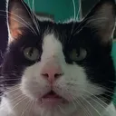 borris_is_dumbfounded