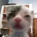 Guh