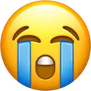 xd
