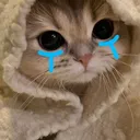 85d68e71848827bea8bb8d3a39c1823a