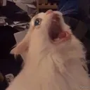 2c42fd5fb7944b49fac89d7ca06d2364