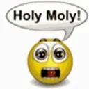 holycwap2