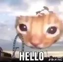 Hello