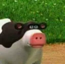 barn_bruh