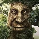 mysticaltree mysticaltree