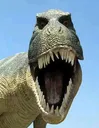 goofyrex