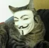 catonymous