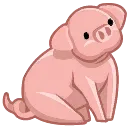 cute_pig