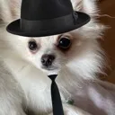 luckybusiness
