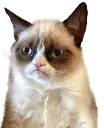 grumpy