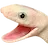 snek