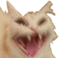 aaaaaa
