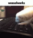 weaselworks