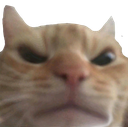 madcat Discord emoji