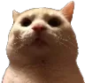 bro