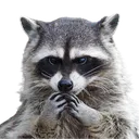 26523845384c40e2b03e53301eeced5f