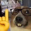 Nerd