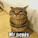 MRpenis