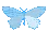 a_butterfly_blue