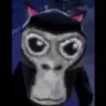 ayo2