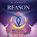 12_reason
