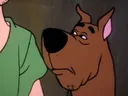 Sus