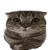 cat_he_so_chill