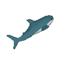 blahaj_spin
