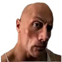 sus