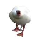emoji_179