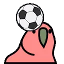 football18