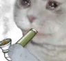 catweed