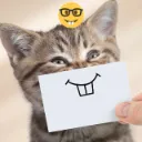 ultrakillsStupidCat