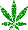 weed2