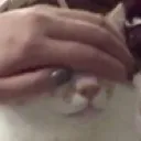 Pa_catchemat
