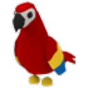 Parrot_Pet