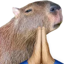 capybara_pray