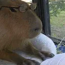 capybara10