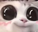 GooglyCatto_Rizin GooglyCatto_Rizin