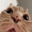 kmm_catwtf Discord emoji
