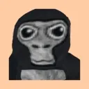 funny_monke funny_monke